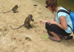Volunteer conservation project Thailand