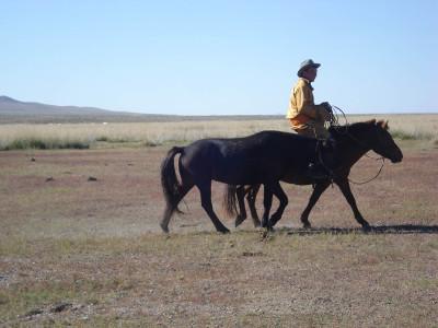 Horseman Horseman