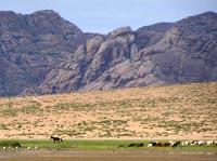 Land without fences Land without fences