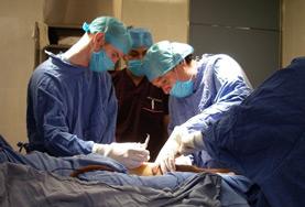 Medicina & Salud
