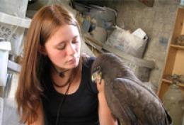 Médecine vétérinaire & soins animaliers