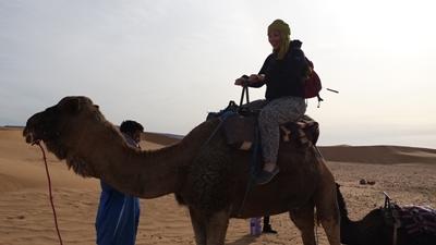 Une volontaire monte à chameau dans le désert au Maroc Une volontaire monte à chameau dans le désert au Maroc