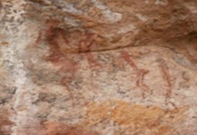 Des peintures rupestres montrées par des rangers Des peintures rupestres montrées par des rangers