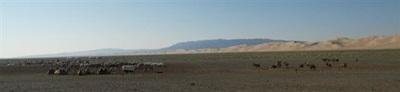Steppes mongoles Steppes mongoles