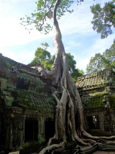 Audrey Fontaine - Cambodge Audrey Fontaine - Cambodge