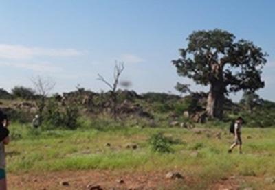 Ecovolontariat et protection de la nature en Afrique du Sud Ecovolontariat et protection de la nature en Afrique du Sud