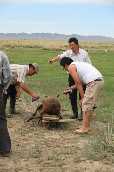 Famille mongole Famille mongole