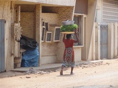 Volontariat au Togo Volontariat au Togo