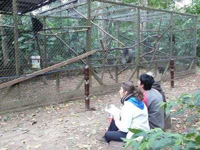 Ecovolontariat, Pérou, par Caroline Schmitt Ecovolontariat, Pérou, par Caroline Schmitt
