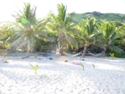 La plage La plage