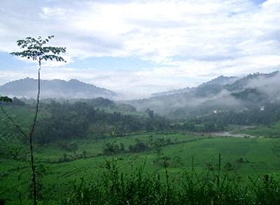 Paysage népalais Paysage népalais
