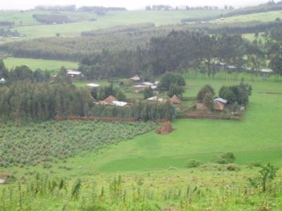 Paysage d'Ethiopie Paysage d'Ethiopie
