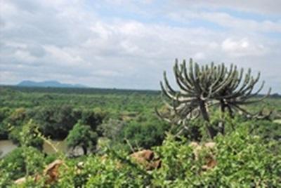 Afrique du Sud, Ecovolontariat par Laura Centeno