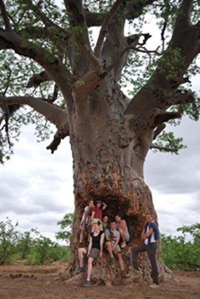 Afrique du Sud, Ecovolontariat par Laura Centeno