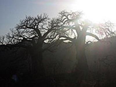 Laurane Winandy – Ecovolontariat en Afrique du Sud – 2008