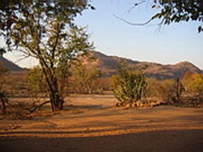 Laurane Winandy – Ecovolontariat en Afrique du Sud – 2008