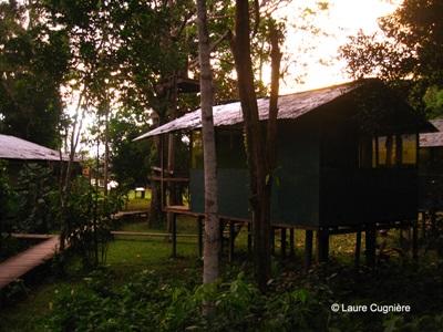 Ecovolontariat, Pérou par Laure Cugnière Ecovolontariat, Pérou par Laure Cugnière
