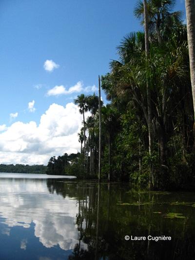Ecovolontariat, Pérou par Laure Cugnière Ecovolontariat, Pérou par Laure Cugnière