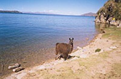 Paysages boliviens (photo Marina Garbin)