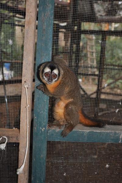 Réserve d'animaux sauvages Réserve d'animaux sauvages