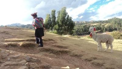 Mission de volontariat au Pérou, dans les Andes Mission de volontariat au Pérou, dans les Andes