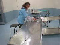 Travailler dans une clinique vétérinaire en Afrique
