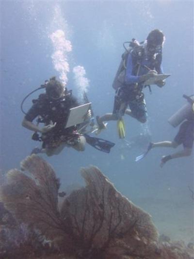 Conservation marine Thailande Conservation marine Thailande