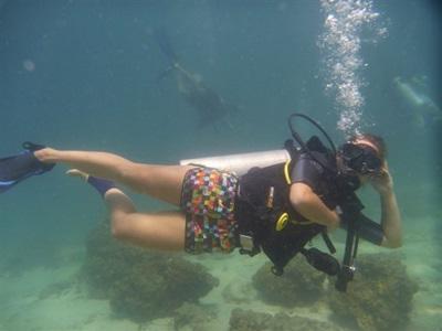 Plongée sous marine écovolontariat Thailande Plongée sous marine écovolontariat Thailande