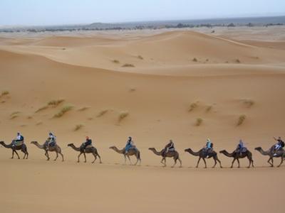 Stage Droits de l’homme, Maroc par Pauline Soria Stage Droits de l’homme, Maroc par Pauline Soria