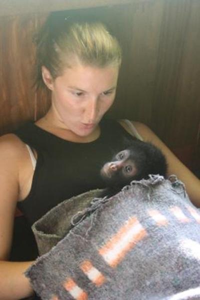 Pauline et le singe Pauline et le singe