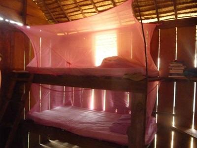 Ecovolontariat, Cambodge par Xavier Demau