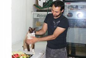 Veterinary Medicine & Animal Care