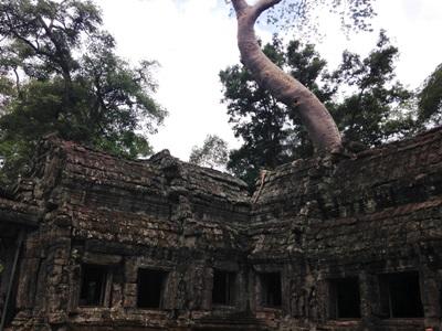 Sightseeing in Cambodia Sightseeing in Cambodia