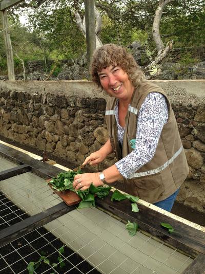 Jacqueline Nieuwesteeg - Natuurbehoud & Milieu project in Ecuador Jacqueline Nieuwesteeg - Natuurbehoud & Milieu project in Ecuador