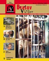 Brasov Visitor Brasov Visitor