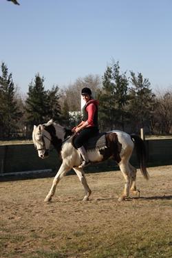 Spaanse cursus en paarden therapie in Argentinië door Robyn Klijn