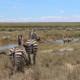 De ervaring van Sem Brys op het Bouw project in Tanzania De ervaring van Sem Brys op het Bouw project in Tanzania
