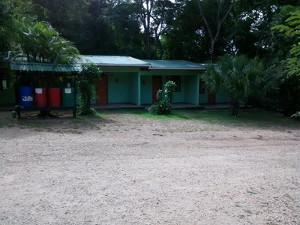 Tom Massar - Natuurbehoud & Milieu - Tropisch woud, Costa Rica