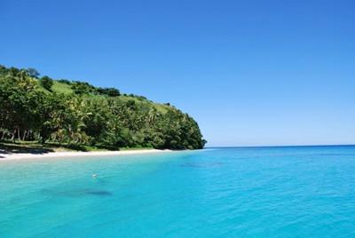 Hai i havet utenfor Fiji Klart blått hav med hai utenfor Fiji